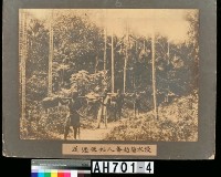 浸水營越蕃人運輸郵件情形藏品圖，第3張